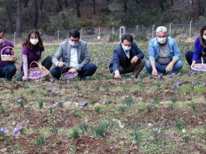 Endemik Türlerden Muğla Ekonomisine 62 Milyon Tl Katkı