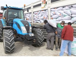 Kulu’da Hibeli Tohum Dağıtımı
