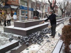 Güvercinler Hamamyolu’na Her Gün Onun İçin Geliyor