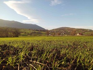 Müdür Sağlam’dan Çiftçilere ’Tarım Sigortası’ Uyarısı