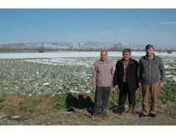 Kar Kışlık Ürünlere Yaradı