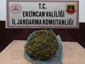 Erzincan’da 2 Kilo 848 Gram Kubar Esrar Ele Geçirildi
