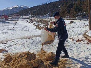 Jandarmadan Yaban Hayvanlarına Yem