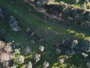 Kaybolan Alzheimer Hastasını Drone İle Buldular