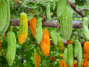 Kudret Narında Türkiye Üretim Üssü Olacak