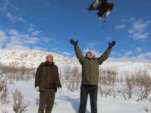 Yaban Hayvanları Şırnak’ta Tedavi Merkezinde Şifa Bulup Yaşam Alanlarına Dönüyor