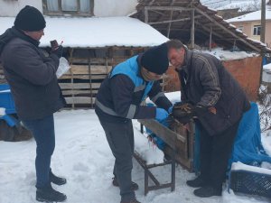 Pazarlar’da “Tavuk Vebası” Taraması