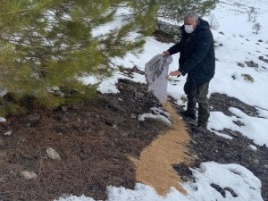 Elazığ’da Yaban Hayvanları İçin Doğaya Yem Bırakıldı