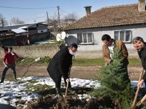 Başkan Kanar, Liseli Gençlerle Birlikte Fidan Dikti