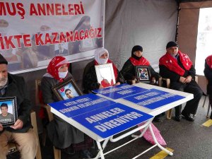 Muş’ta Annelerin Evlat Nöbeti Sürüyor