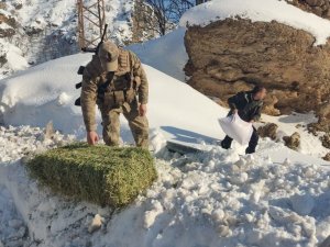 Tunceli’de Yaban Hayvanları İçin Doğaya Yem Bırakıldı