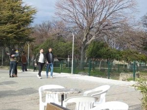 Burhaniye’de Adramytteion Antik Kenti İlgi Gördü
