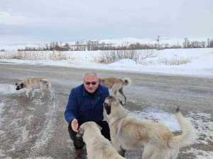 Sokak Hayvanlarını Elleri İle Besliyor