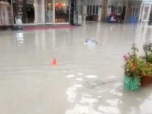 Yarım Saat Yağmur Yağdı, İş Yerlerini Su Bastı