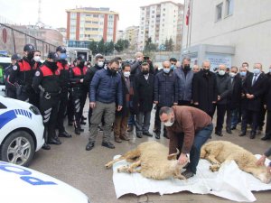 Kartal İ̇lçe Emniyet Müdürlüğüne Kazandırılan Yeni Araçlar İçin Koç Kesildi