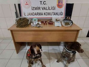 Narkotik Dedektör Köpekler, Uyuşturucuların Yerini Tek Tek Buldu