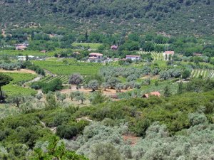 Ekodosd’tan Kirazlı İçin Çağrı