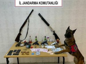 Ekipler Durumlarından Şüphelendi, İkametlerinden Zula Çıktı