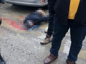 Kamyonun Çarptığı Adam Kurtarılamadı