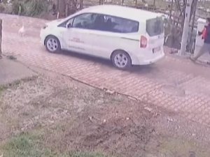 Yolda Yürüyen Kediyi Aracıyla Ezdi, Arkasına Bile Bakmadı