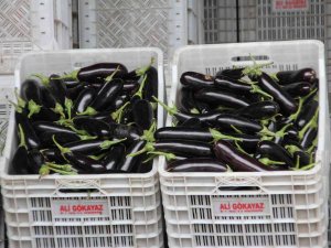 Mersin Ve Adana’nın Ocak Ayı Enflasyonu Yüzde 50,61