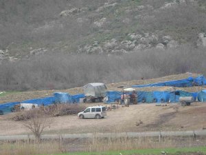 Koyunu Kurtarmak İsteyen Çobanın Feci Ölümü