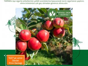 Tarsi̇m: ’’Elma Ürününüz Tarsi̇m Güvencesinde’’