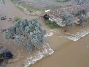 Tire’de Yeraltı Barajı Taştı, Tarlalar Ve Çiftlikler Su Altında Kaldı