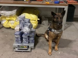 Aracın Zulasındaki 31 Kilogram Eroini ‘Su’ Buldu