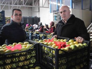 Karaman’dan Libya’ya Elma İhracatı Arttı
