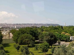 Samsun’un Nüfusu 1 Milyon 371 Bin 274 Kişi Oldu