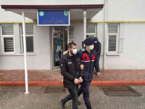 Vinçle Konteyner Çalarken Jandarmaya Yakalandı
