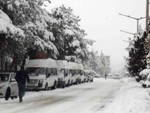 Ahlat’ta Yoğun Kar Yağışı