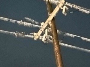 Teksas’ta Kar Fırtınası Alarmı: 17 Bölgede Afet İlan Edildi