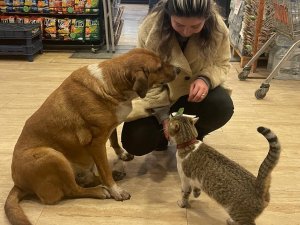 Mazlum İle Boncuk’un Dostluğu