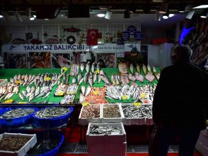 Tezgahlarda Hamsi Bolluğu Yaşanıyor