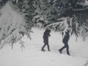 Tatvan’da Kar Yeniden Etkisini Gösterdi
