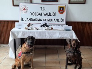 Yozgat’ta Uyuşturucu Operasyonu: 3 Tutuklu