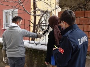 Korkuluğa Saplanan Kediyi Belediye Ekipleri Kurtardı