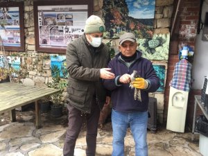 Kuşadası’nda Yaralı Atmaca Ve Porsuk Tedavi Altına Alındı