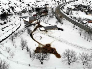 Karınları Doyan Süt Kuzularının Ahırda Neşeli Halleri Renkli Görüntü Oluşturdu