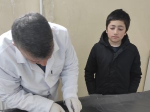 Saldırıya Uğrayan Kedi Kurtarıldı