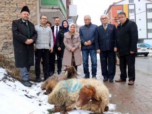 Yağan Kar İçin Şükür Kurbanı Kestiler