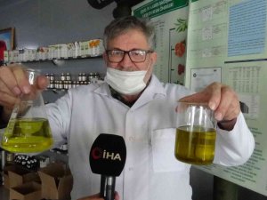 Dünyada İlk Kez Zeytinyağının Apolarını Polarından Ayırdı