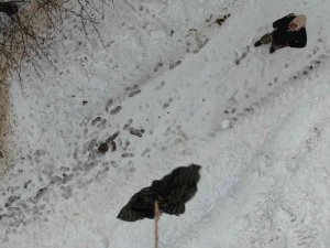 Tipi Yolu Kapattı, Jandarma Ekipleri Hastaya İlacını Drone İle Ulaştırdı