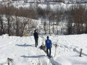 Bingöl’de Gönüllüler Doğaya Yem Bıraktı