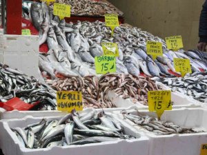 Balık Tezgahlarında Enflasyon Yok: 3 Balık Çeşidi 15 Lira