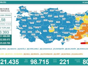 Son 24 Saatte Korona Virüsten 221 Kişi Hayatını Kaybetti