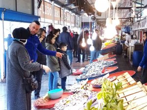 Bandırma Balık Halinde Hamsi Bolluğu Yaşanıyor