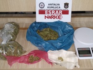 Antalya’da 310 Gram Esrar Maddesi Ele Geçirildi
